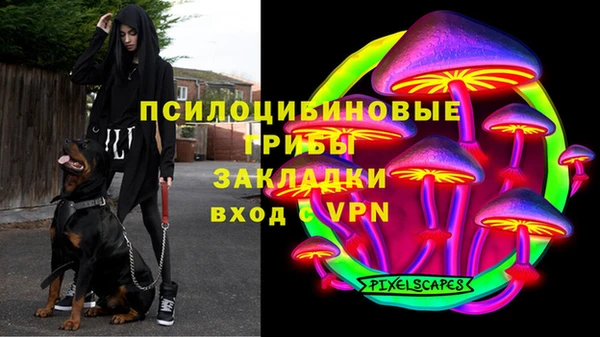 ГАЛЛЮЦИНОГЕННЫЕ ГРИБЫ Нефтекумск